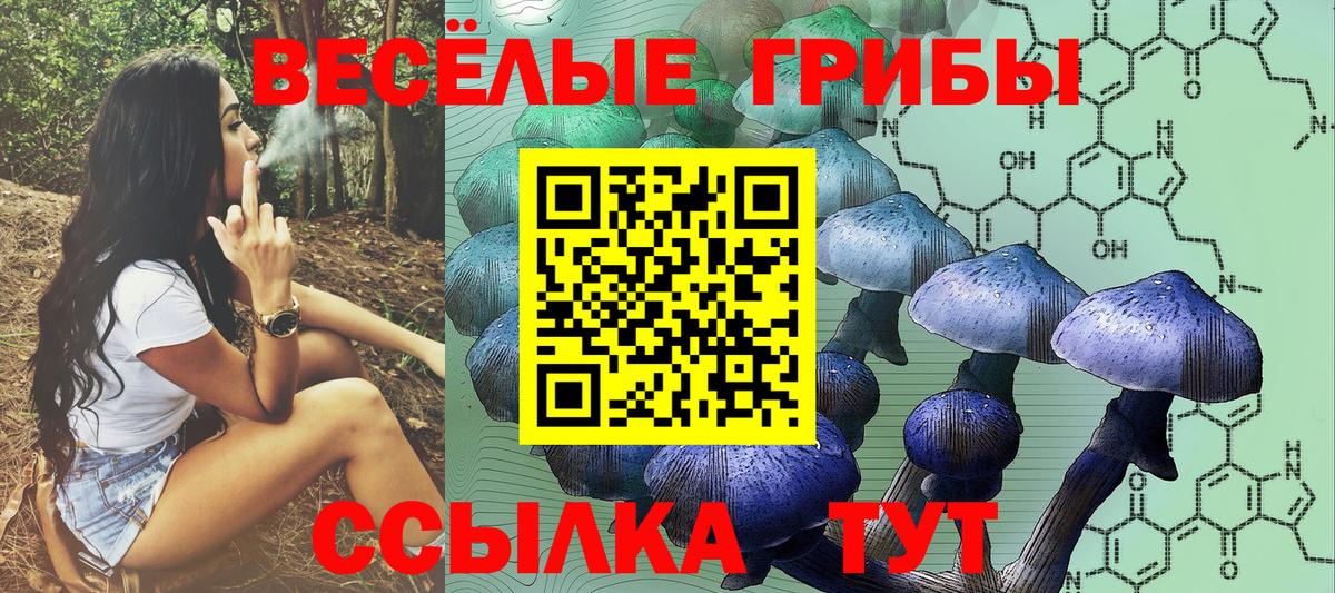Тамбов  Галлюциногенные грибы MAGIC MUSHROOMS  Вход с VPN 